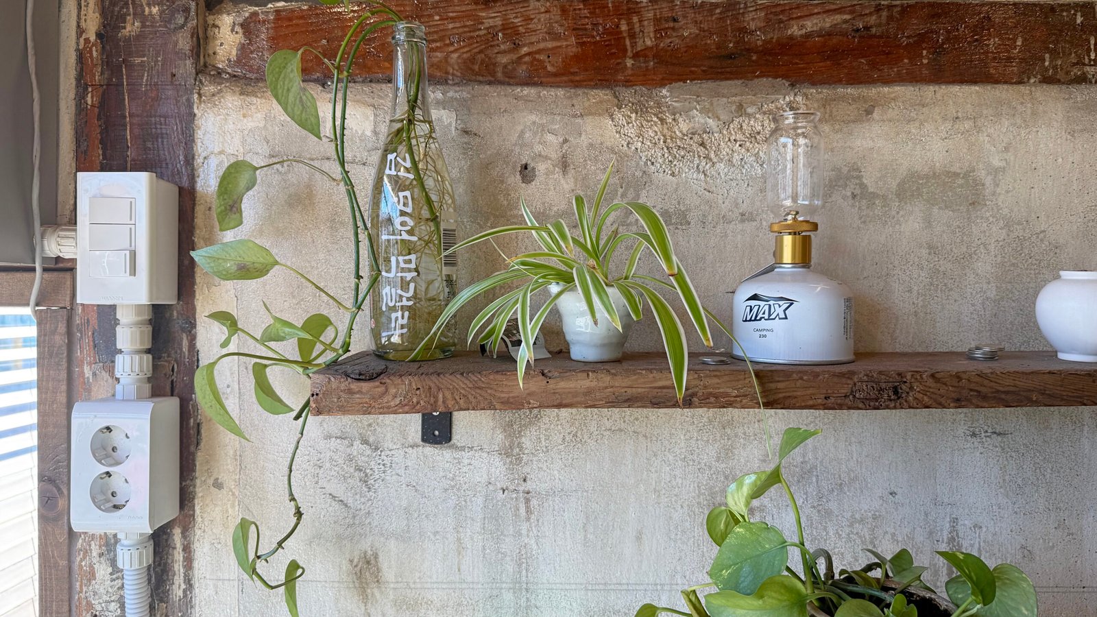 경주여행 깁 모어 막걸리 기념품 선물로 좋은 힙한 전통주 - 6