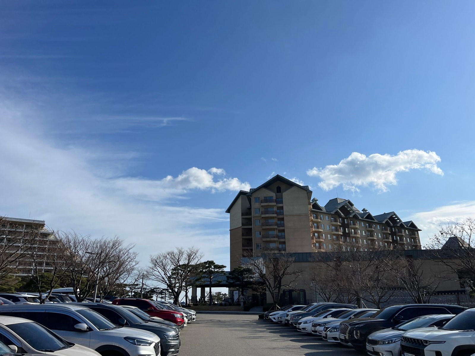 소노펠리체 델피노 조식 뷔페 셰프스키친 솔직 후기 - 20