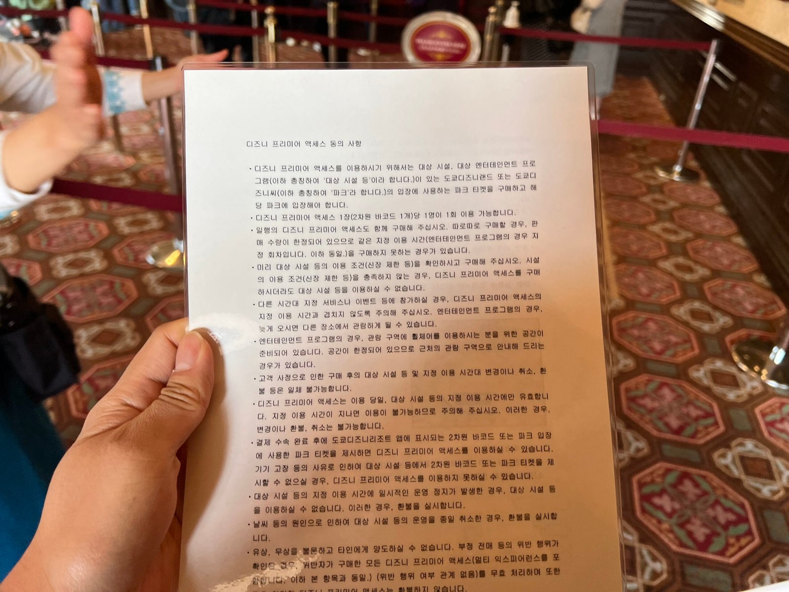 도쿄 디즈니랜드 DPA(Disney Premier Access) 구입하는 방법 - 5