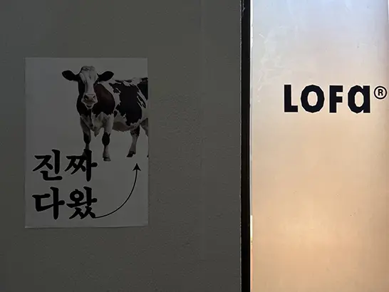 트렌디한 서울 용산 편집샵 로파서울 취향을 찾아 떠나는 여정 - 2