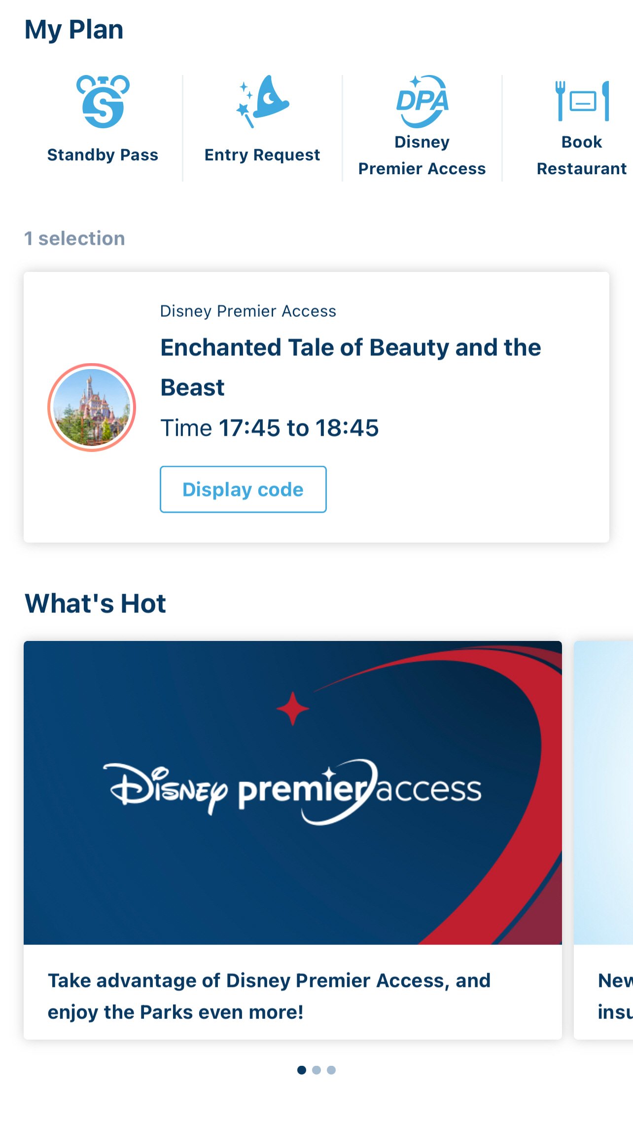 도쿄 디즈니랜드 DPA(Disney Premier Access) 구입하는 방법 - 9