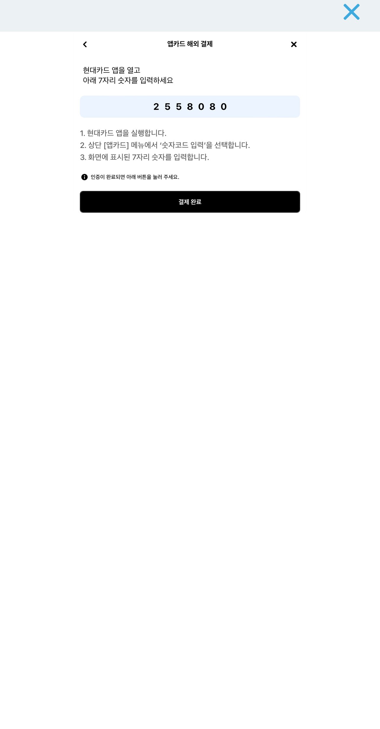 도쿄 디즈니랜드 DPA(Disney Premier Access) 구입하는 방법 - 14