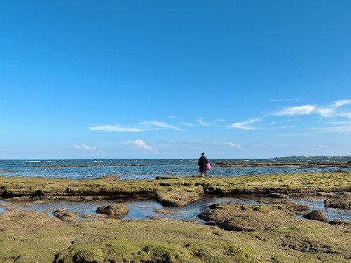 코난비치 이젠 안녕 나만 알고 싶은 제주 스노클링 포인트 관련글 썸네일