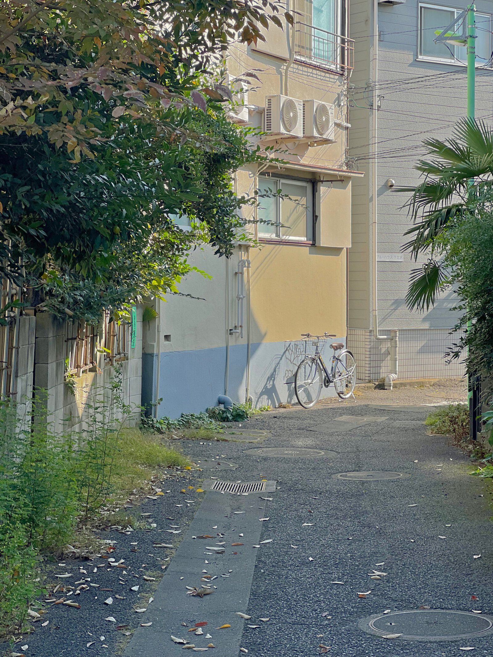 APFR TOKYO 아포테케 프라그란스 시모키타자와 쇼핑 - 4