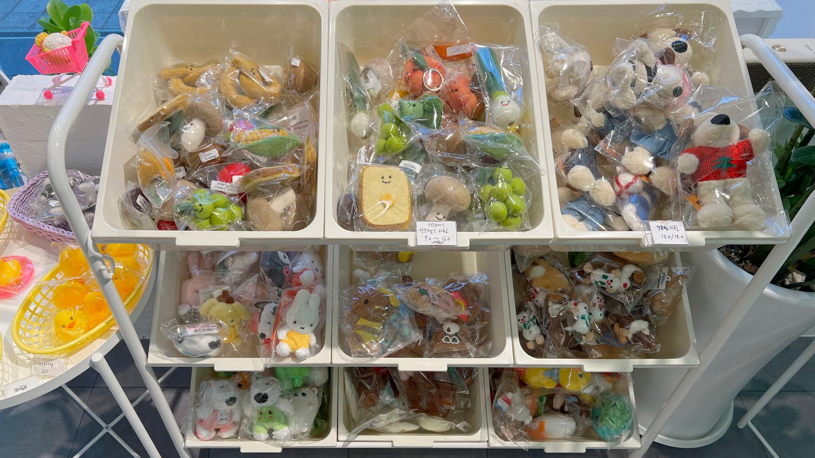 속초 기념품샵 신기루상점에서 오징어순대 마그넷 사왔어요 - 3