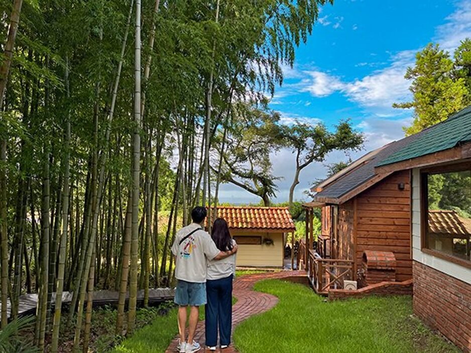 제주 글로리야 C-2층|조천읍 감성 숙소 솔직 후기 대나무와 목조 건물 사이를 걷는 글로리야 정원 길