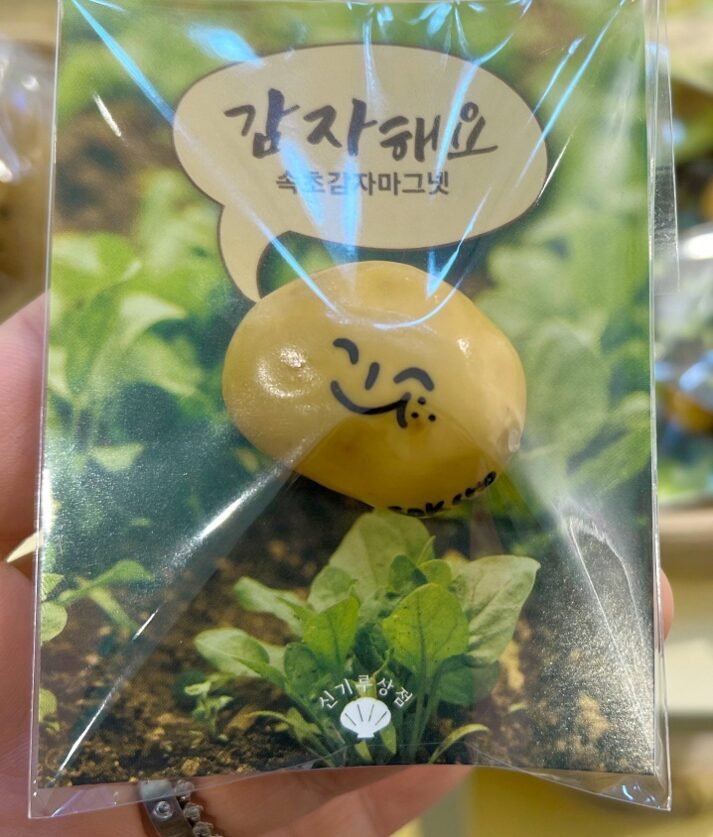 속초 기념품샵 신기루상점|오징어순대·아바이마을 마그넷 쇼핑 표정이 직접 그려진 감자해요 마그넷 가까이 보기