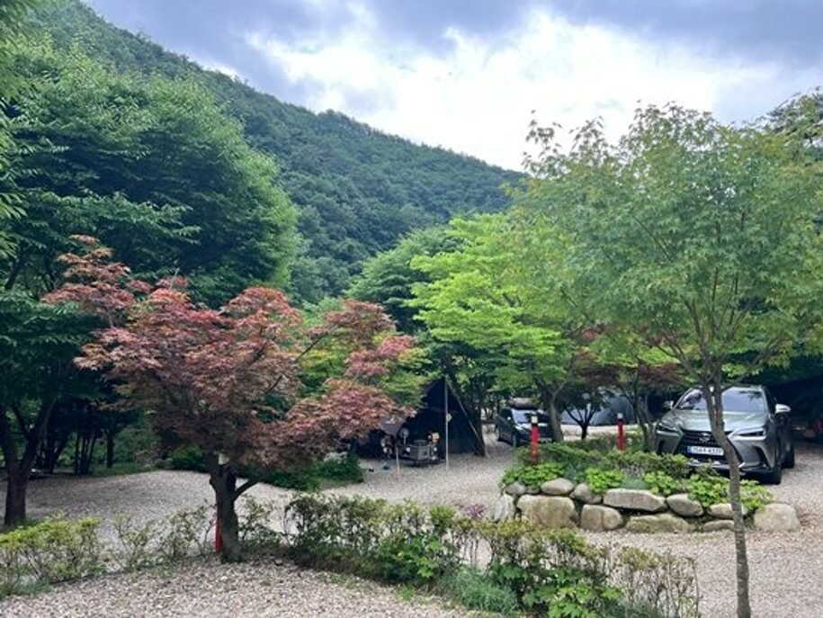 나조스트 캠핑장 J1사이트 후기|편의시설·김삿갓계곡 총정리 캠핑장 중앙에서 바라본 J사이트와 주변 산세