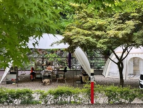 나조스트 캠핑장 J1사이트 후기|편의시설·김삿갓계곡 총정리 도로 건너편에서 바라본 나조스트 캠핑장 J1사이트 피칭 전경