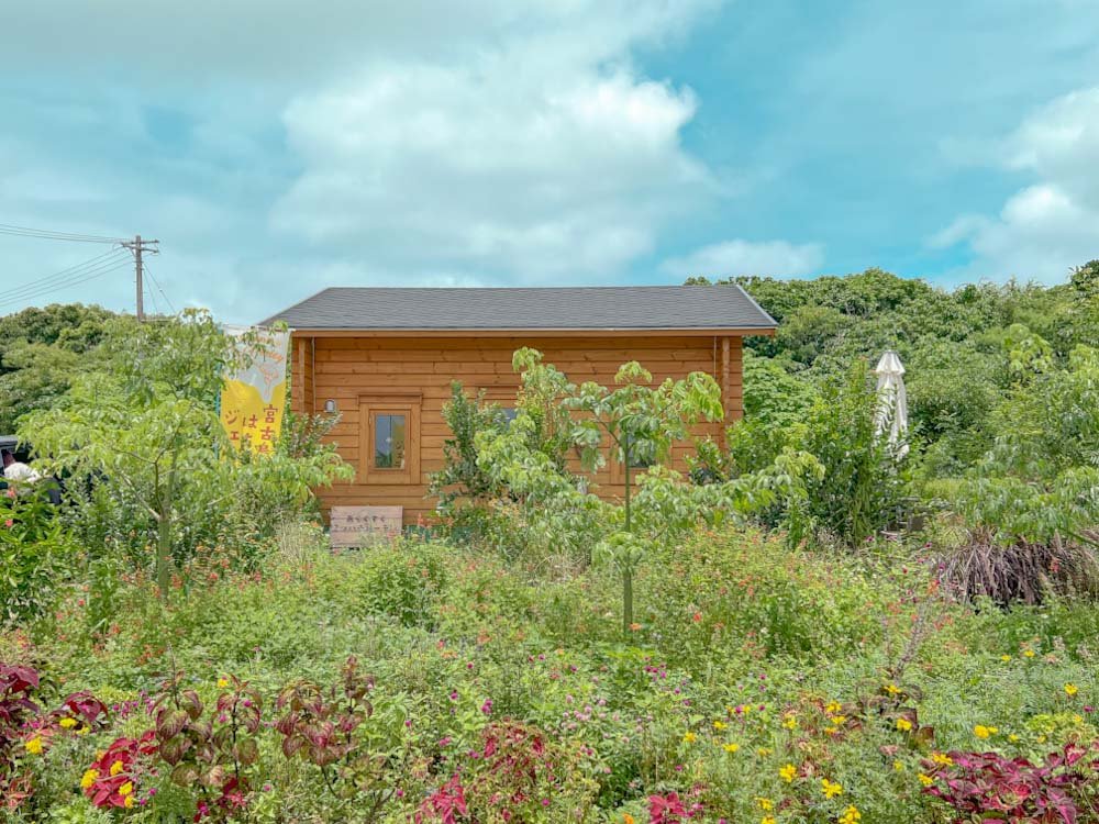 미야코지마 젤라또 맛집 아라구스쿠 미츠하치 가든 Aragusuku Honeybee Garden