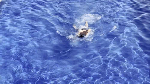 알라 마하이나 콘도 호텔 오키나와 북부 가성비 숙소 추천┃수페리어룸, 수영장, 대욕장 이용 후기 - 80