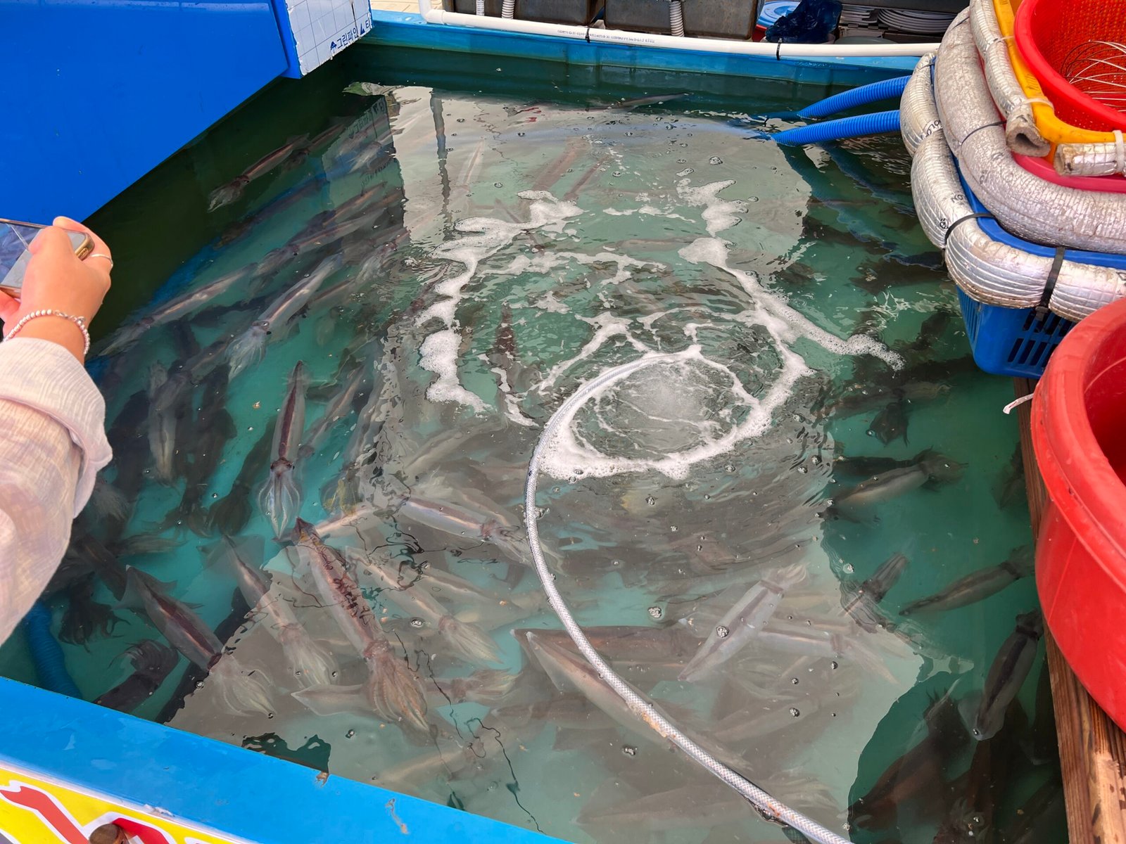 속초중앙시장 먹거리 투어와 회포장 추천 - 21