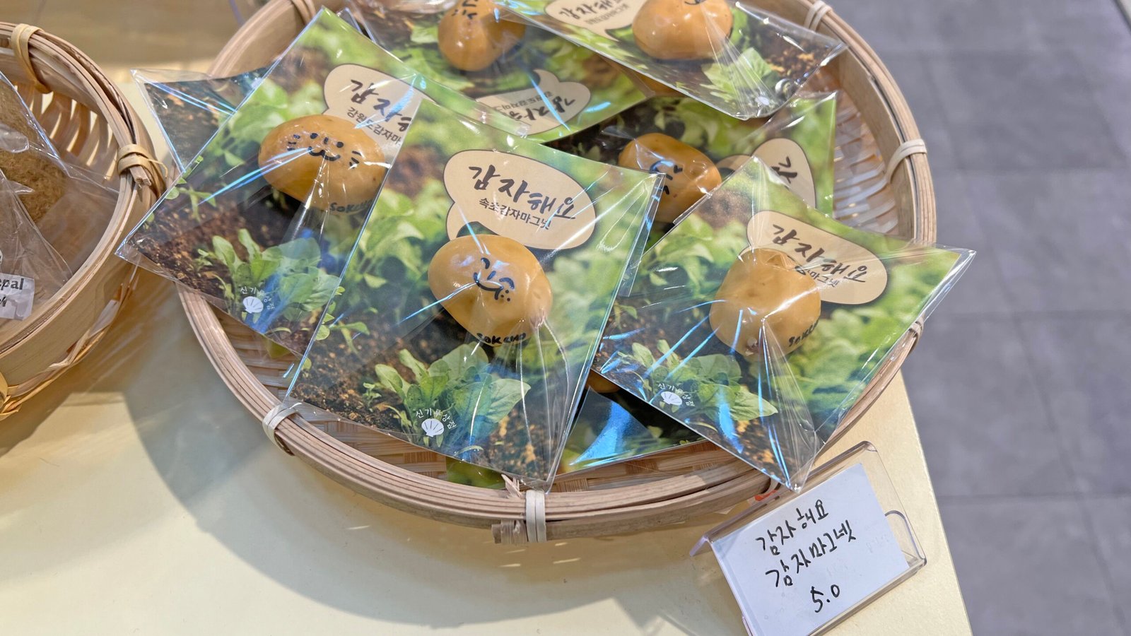 속초 기념품샵 신기루상점에서 오징어순대 마그넷 사왔어요 - 4