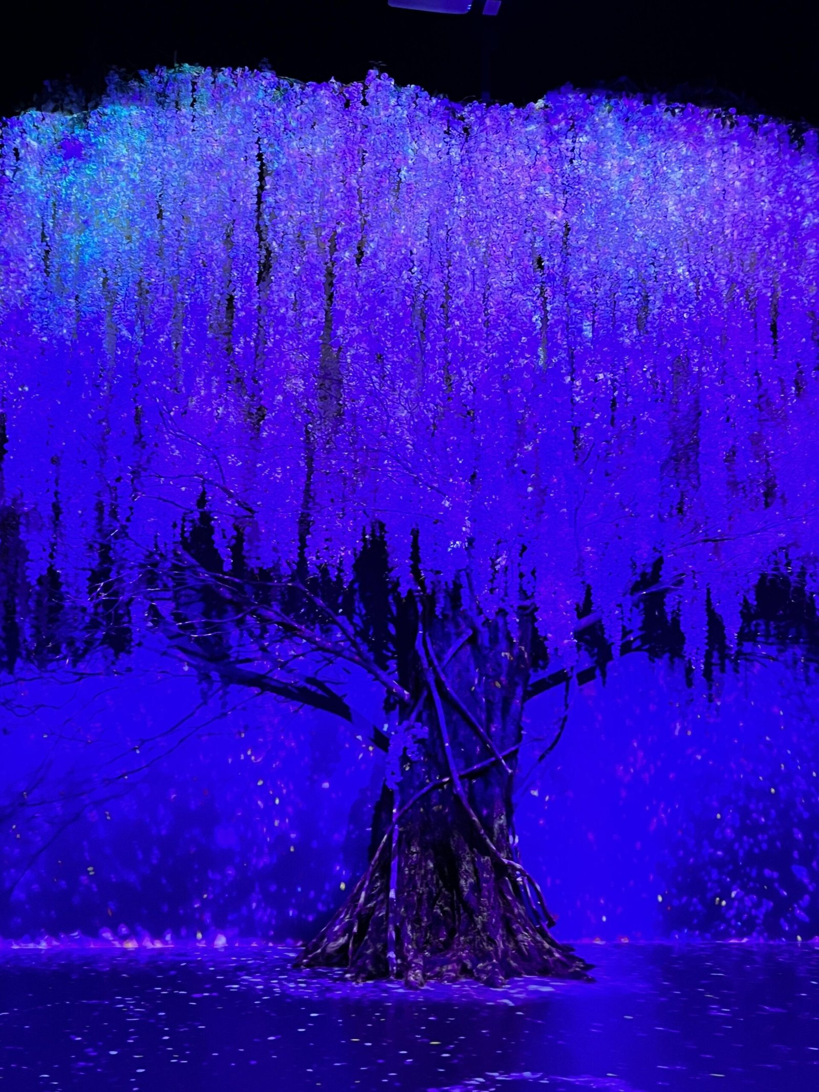 - 7