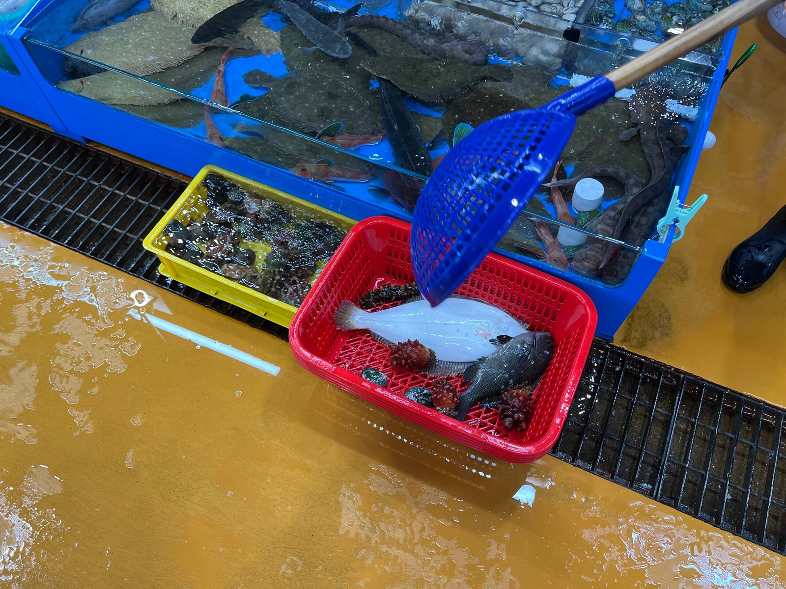 속초중앙시장 먹거리 투어와 회포장 추천 - 28