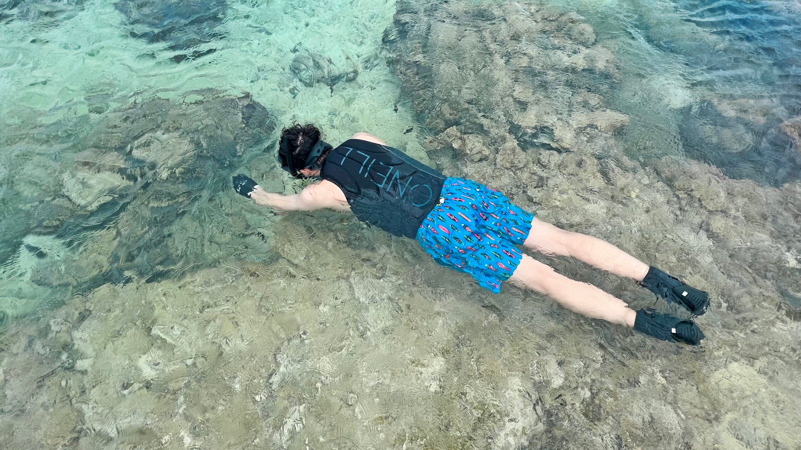 비세자키 해변 오키나와 스노클링 스팟 추천1┃주차 및 물고기 포인트 총정리 - 6