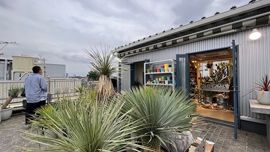 덜튼 DULTON 도쿄여행때 가볼만한 리빙편집샵 - 25