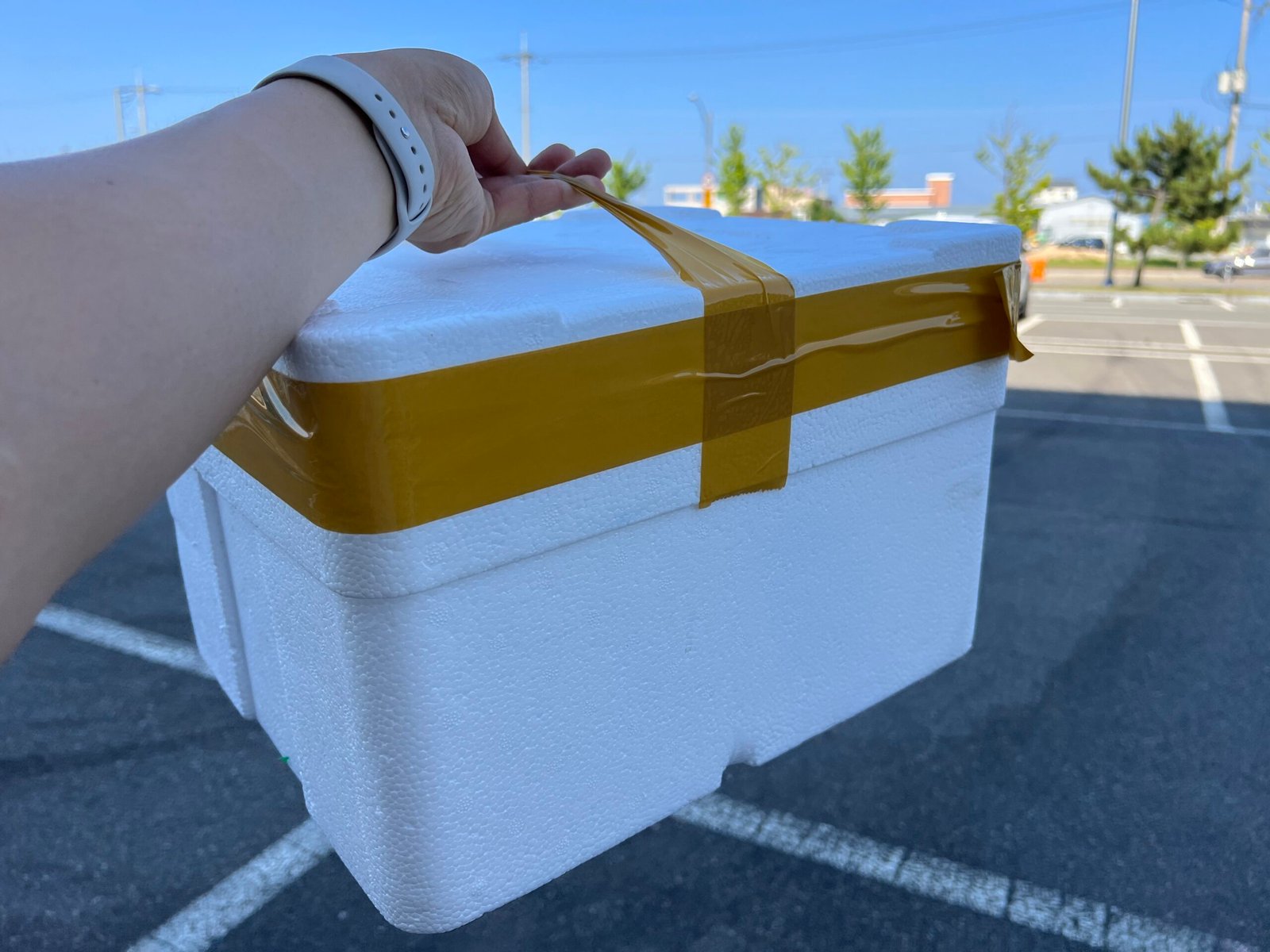 속초중앙시장 먹거리 투어와 회포장 추천 - 32