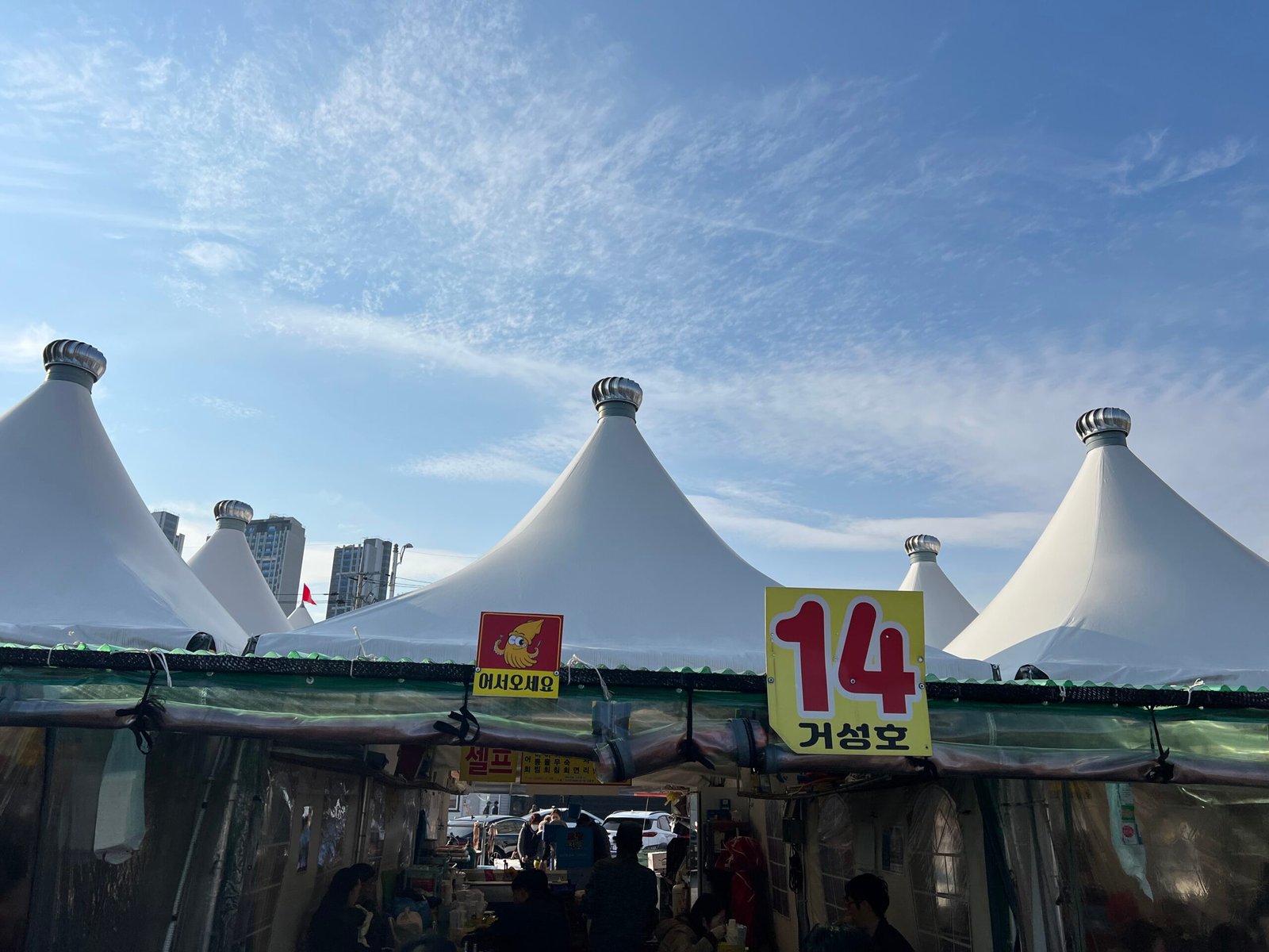 속초 오징어난전 동명항 14호 거성호 양미리 도루묵 오징어회 - 1