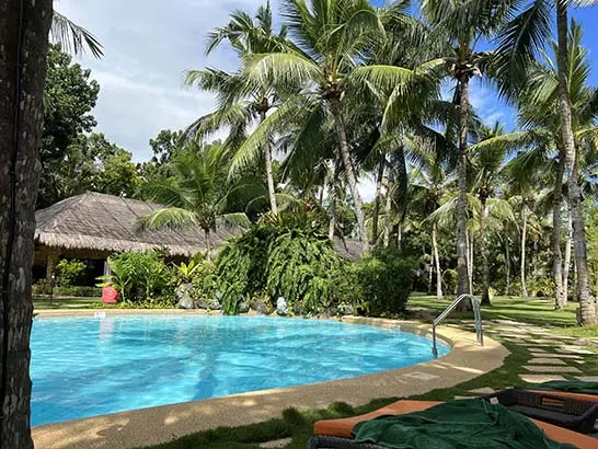 - 33
