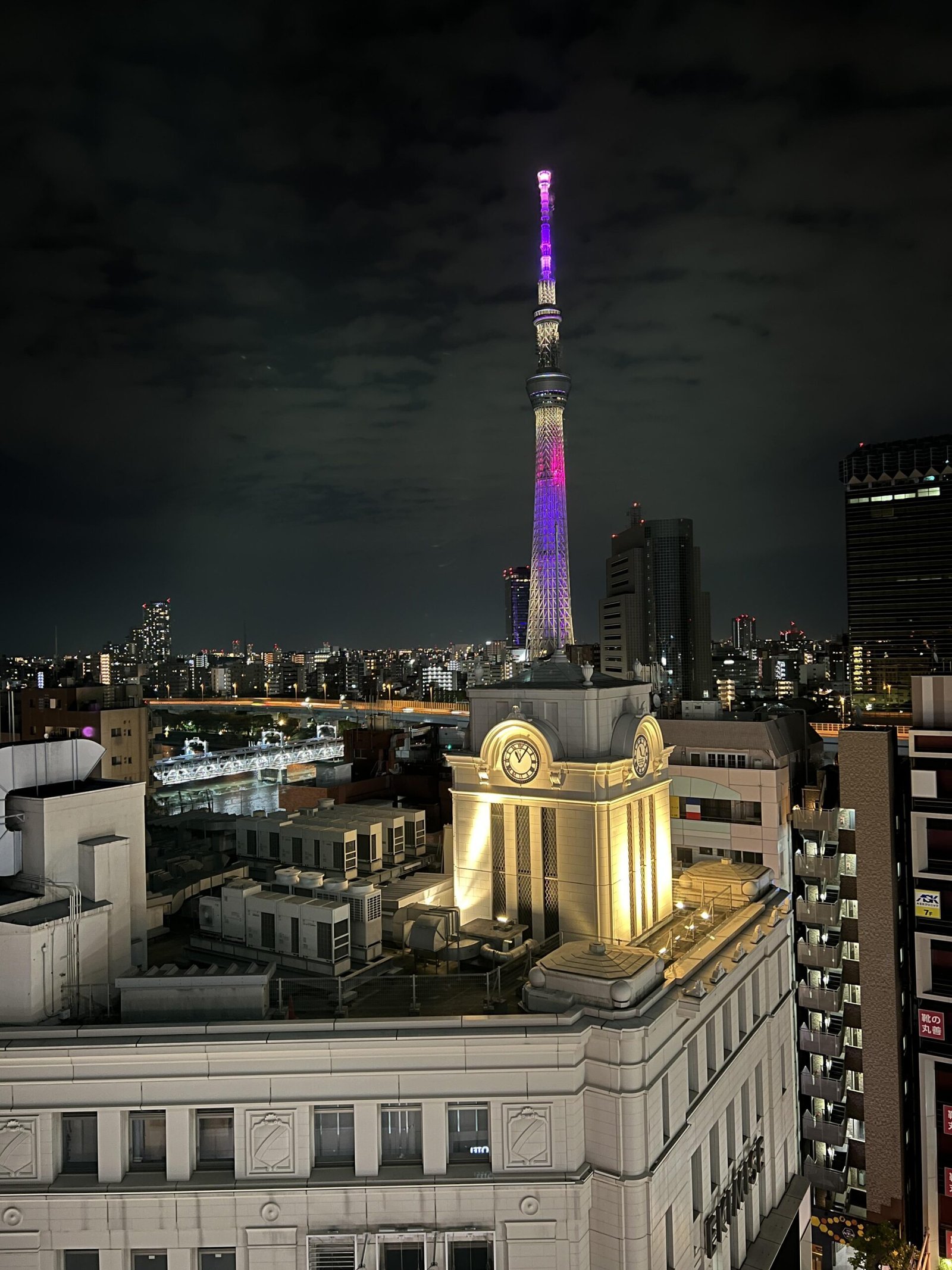 도쿄 아사쿠사 숙소 추천 스카이트리가 보이는 아사쿠사 토부 호텔 완벽 리뷰 - 100