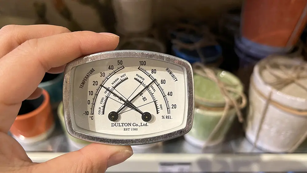 - 33