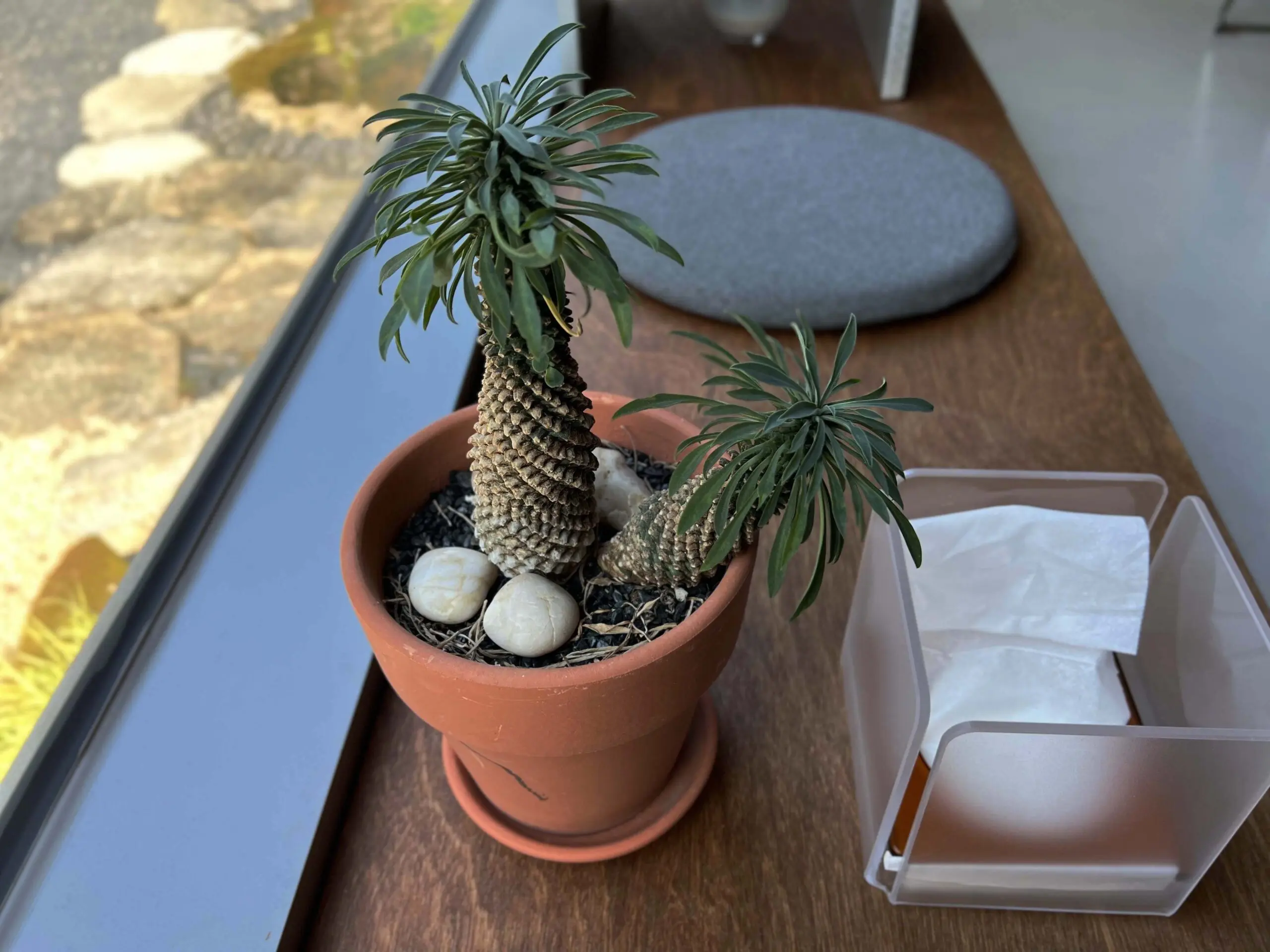 구례 감성숙소 소식다료에서 느림의 미학을 즐기다 - 20