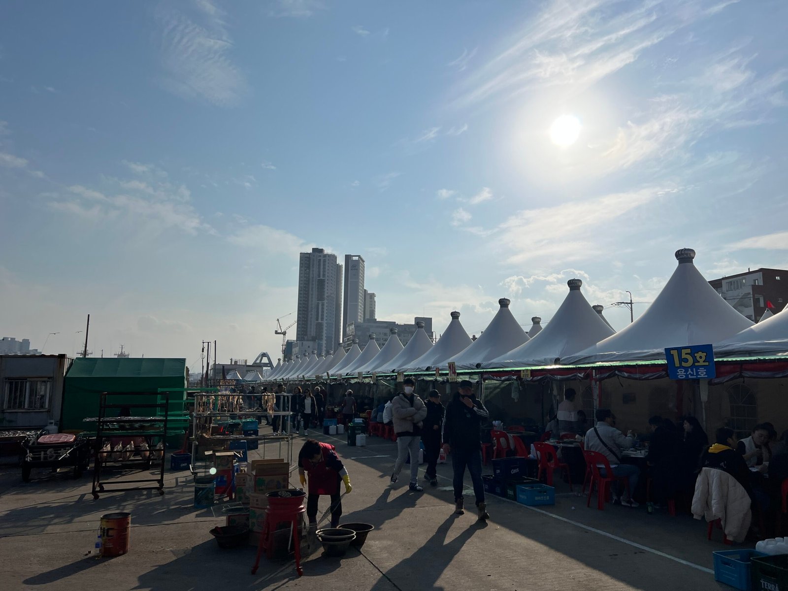 속초 오징어난전 동명항 14호 거성호 양미리 도루묵 오징어회 - 2