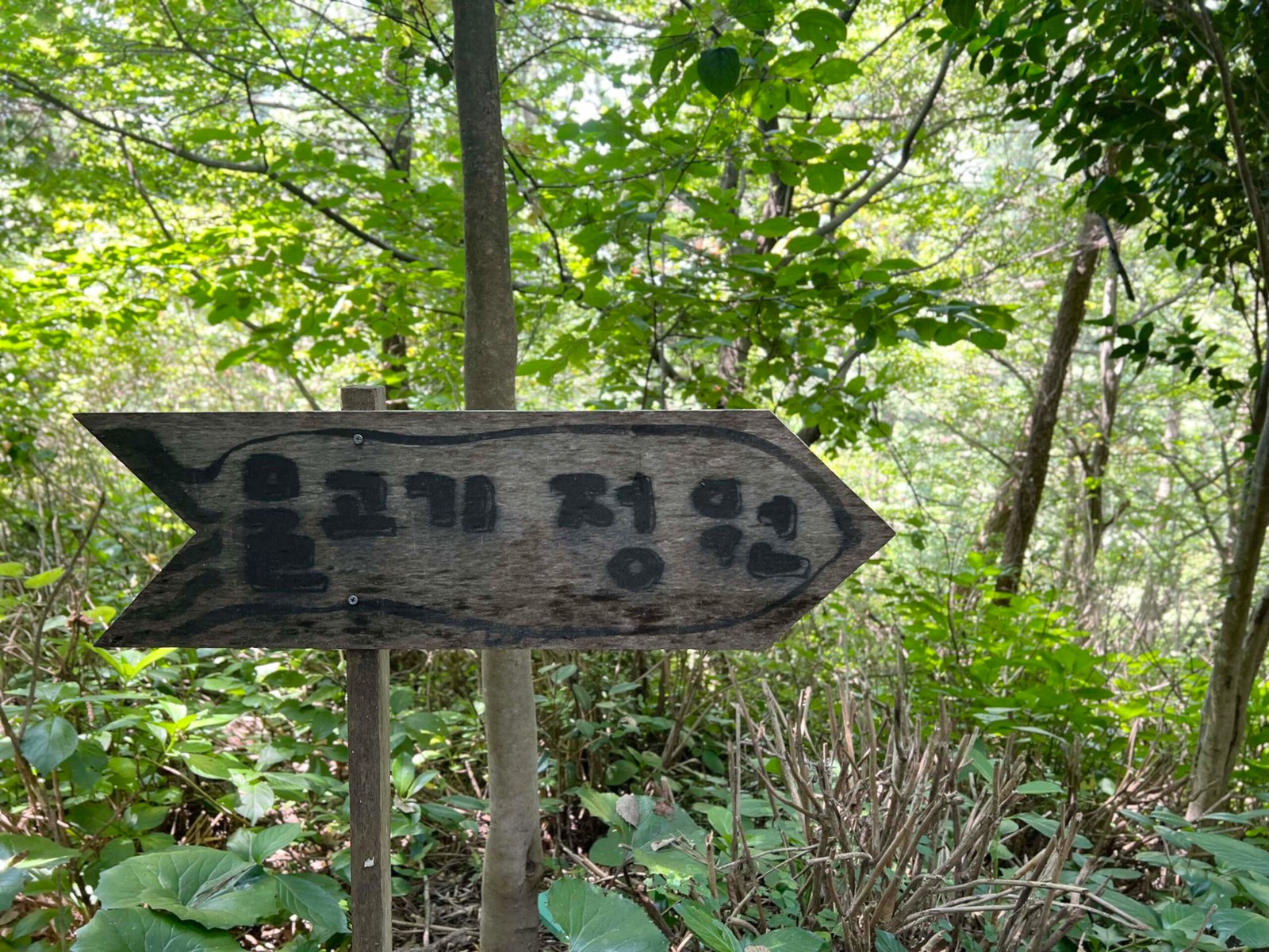 - 384