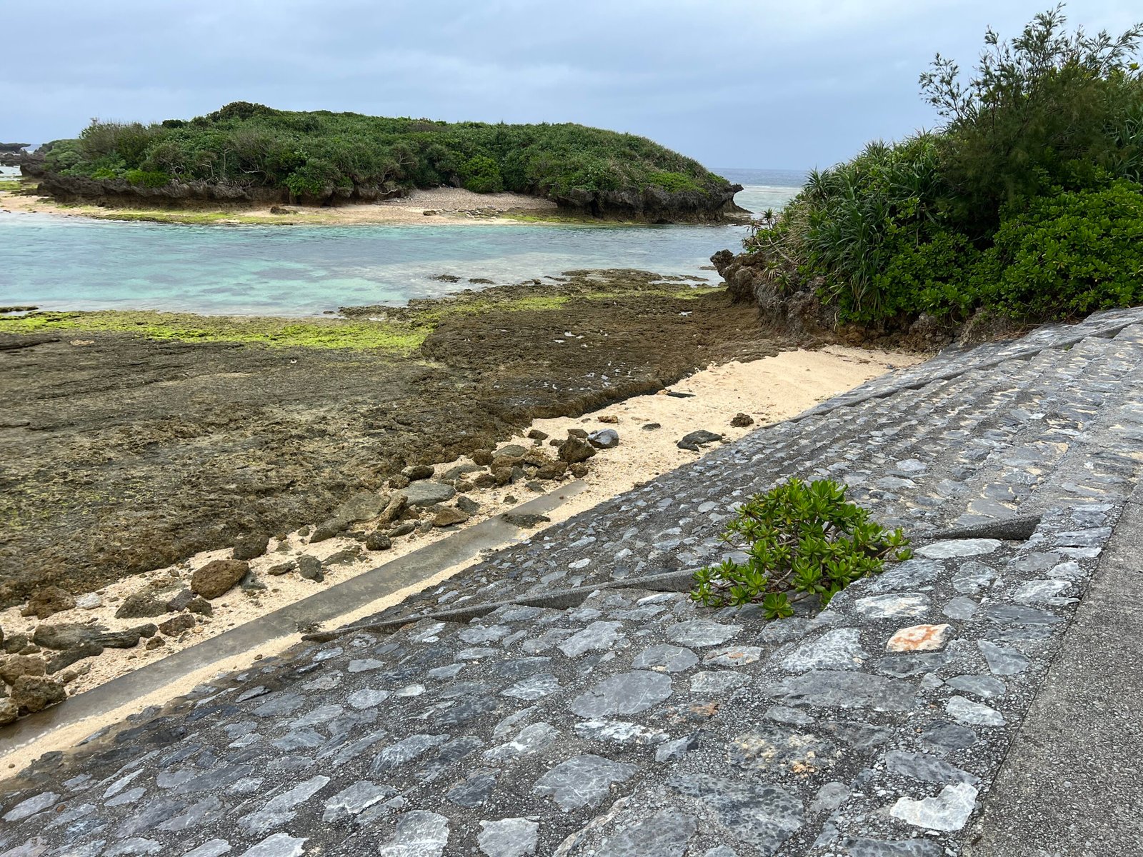 비세자키 해변 오키나와 스노클링 스팟 추천1┃주차 및 물고기 포인트 총정리 - 3