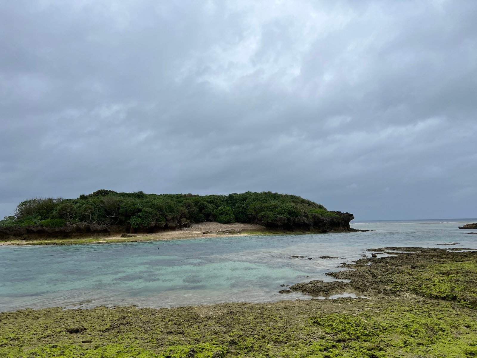 비세자키 해변 오키나와 스노클링 스팟 추천1┃주차 및 물고기 포인트 총정리 - 4