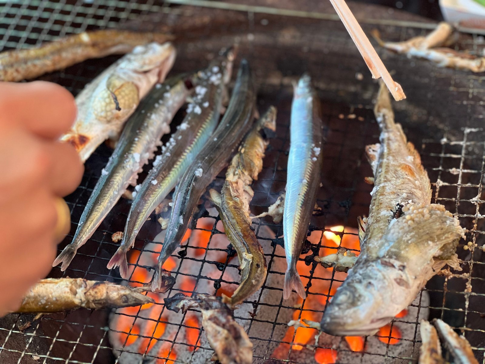 속초 오징어난전 동명항 14호 거성호 양미리 도루묵 오징어회 - 7