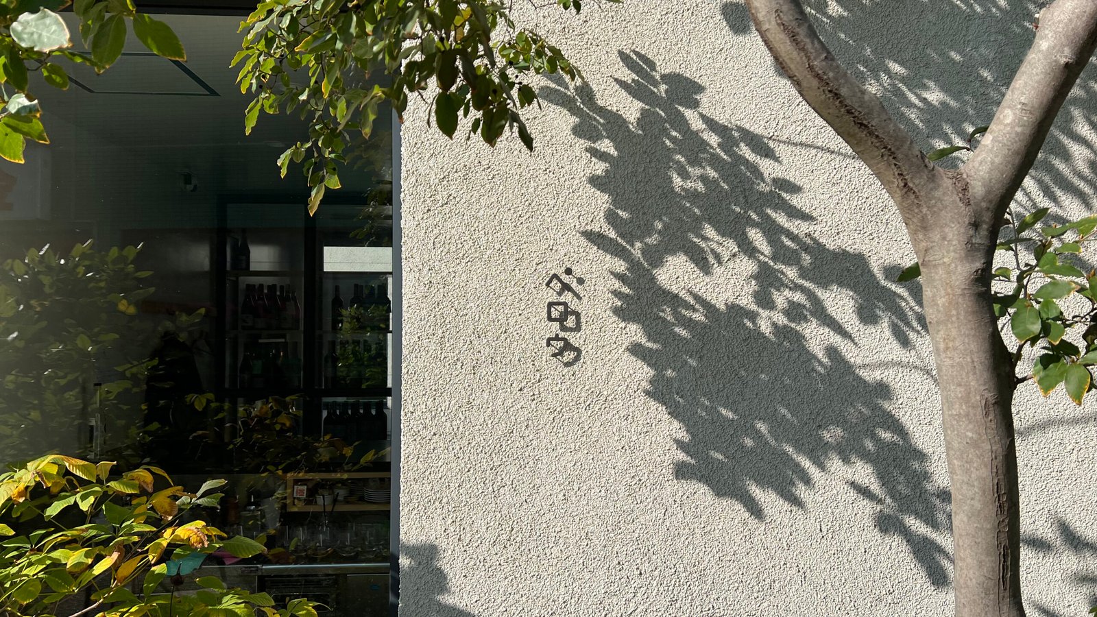 도쿄 핫플 시모키타자와 reload 쇼핑몰 추천 매장 4곳 - 46