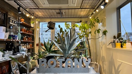 덜튼 DULTON 도쿄여행때 가볼만한 리빙편집샵 - 27