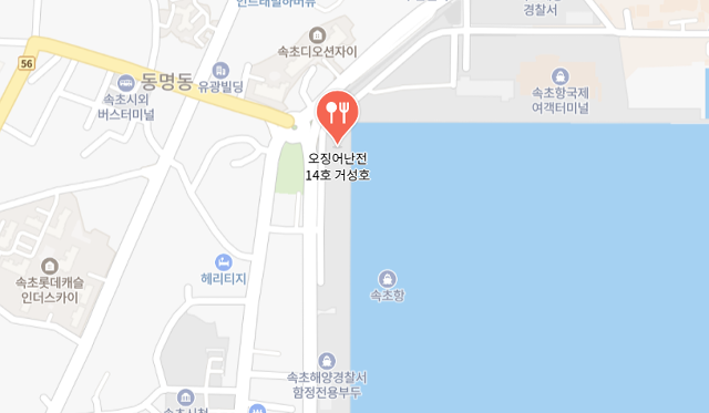 속초 오징어난전 동명항 14호 거성호 양미리 도루묵 오징어회 - 3