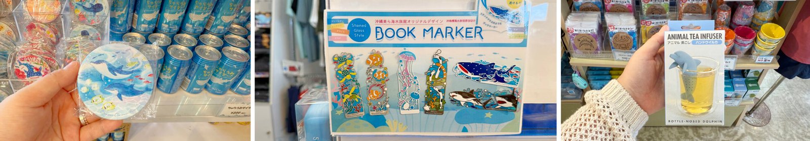 오키나와 오키짱쇼 츄라우미수족관 돌고래쇼 - 8