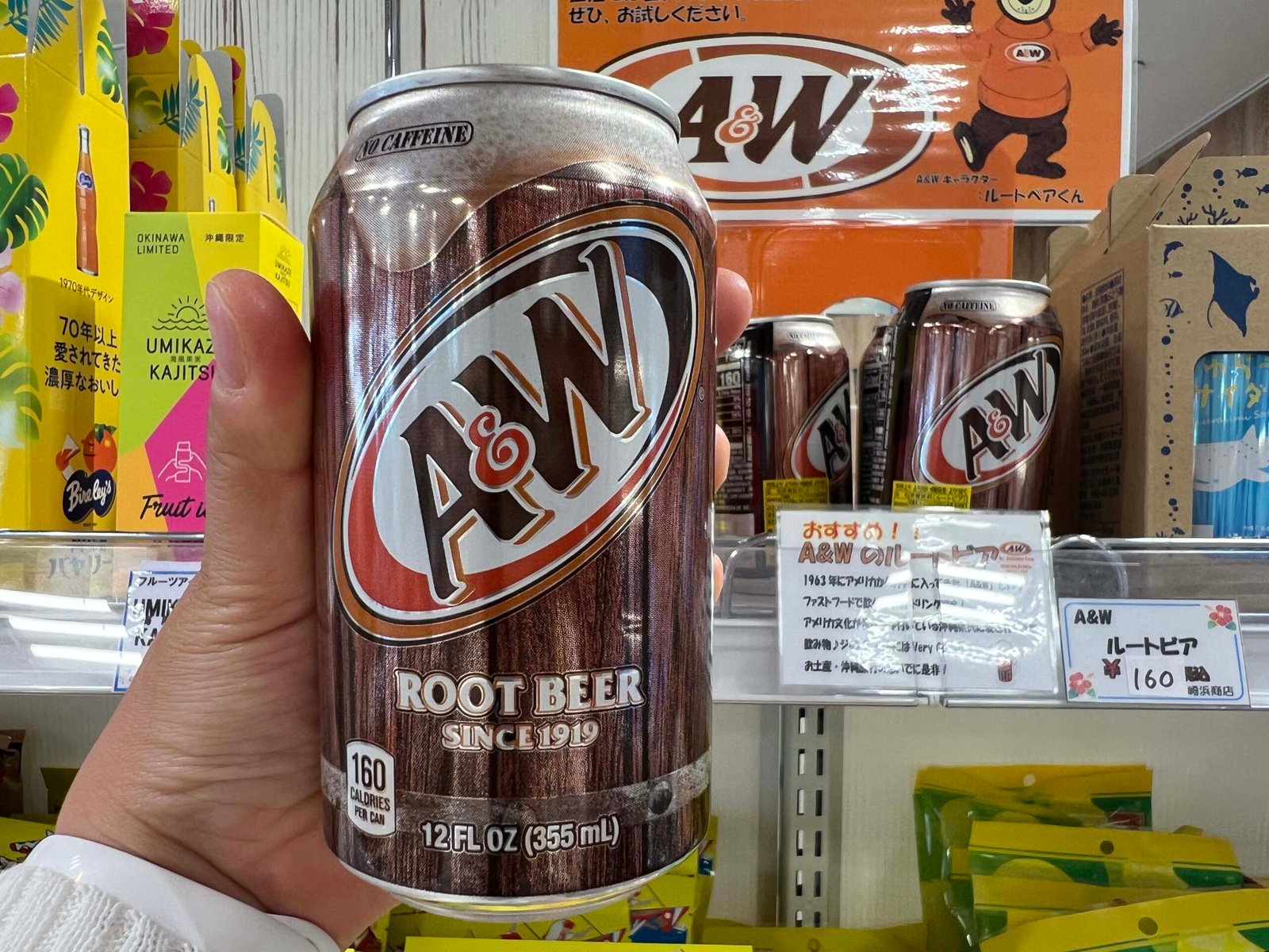 오키나와 북부 쇼핑 하나사키 마르쉐 쇼핑몰 우미카지 마켓 카이소우 43 pottery - 4