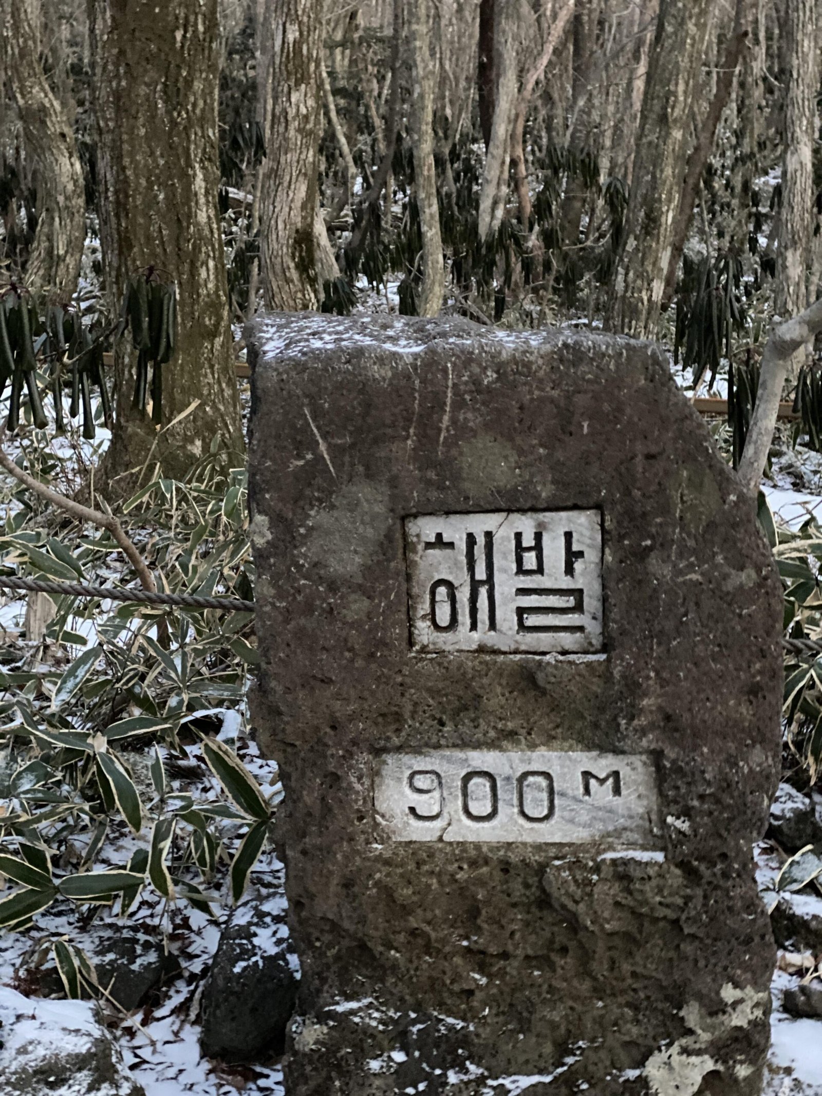 한라산 겨울 성판악코스 등반과 백록담 본 후기 등산 초보 - 12