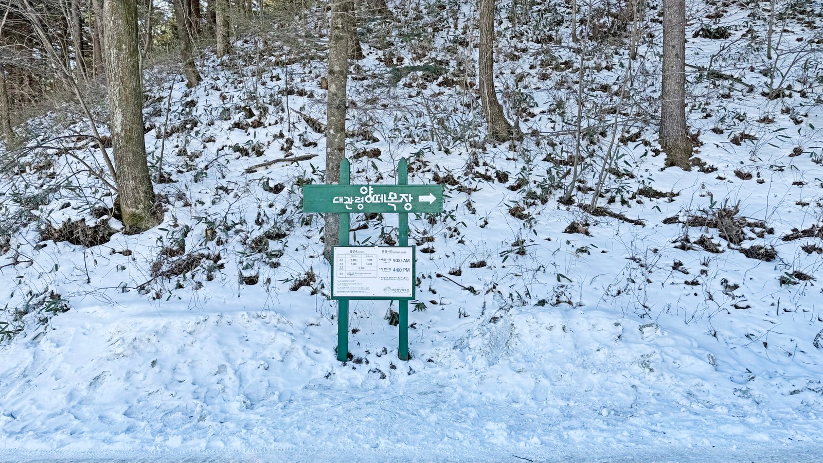 - 11
