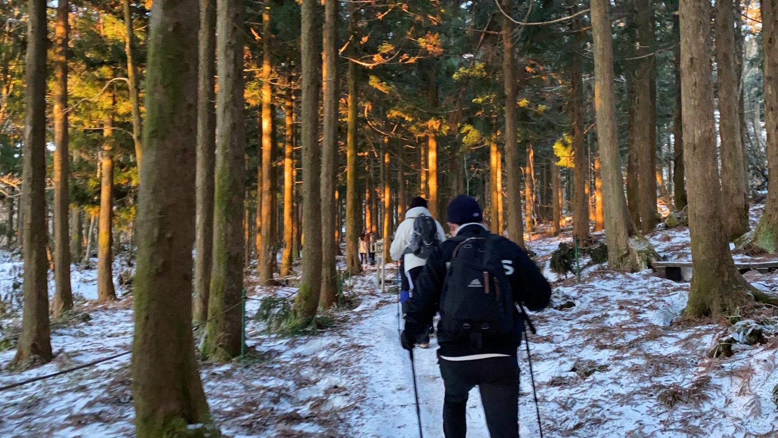 한라산 겨울 성판악코스 등반과 백록담 본 후기 등산 초보 - 13