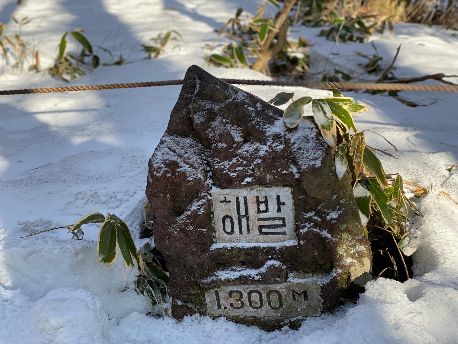 한라산 겨울 성판악코스 등반과 백록담 본 후기 등산 초보 - 14