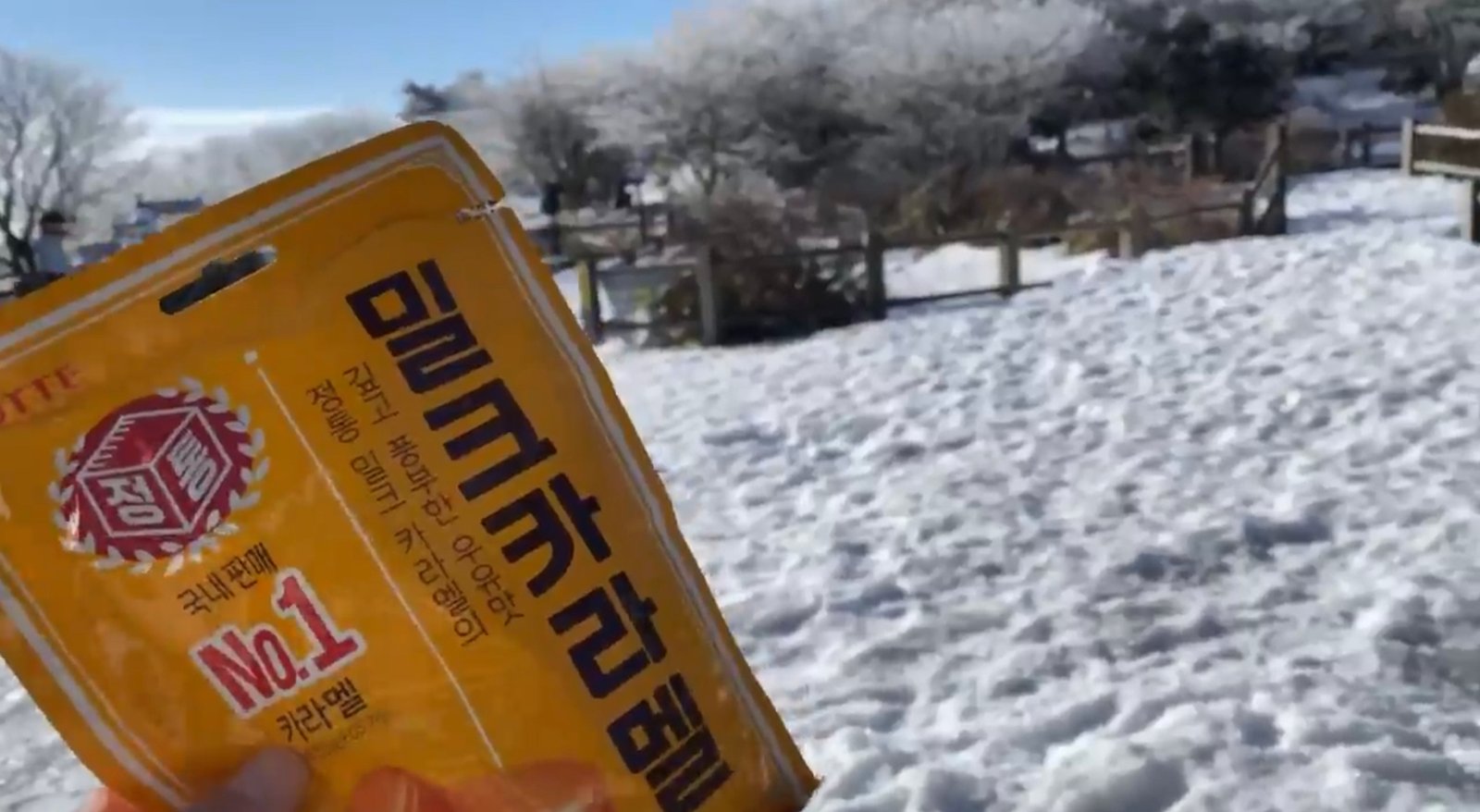 한라산 겨울 성판악코스 등반과 백록담 본 후기 등산 초보 - 15