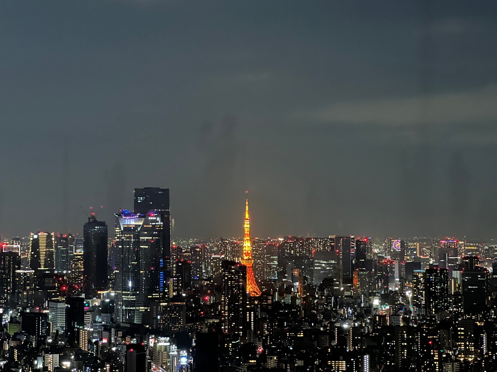 도쿄 시부야 스카이 이용팁 도쿄 야경 즐기기 - 20