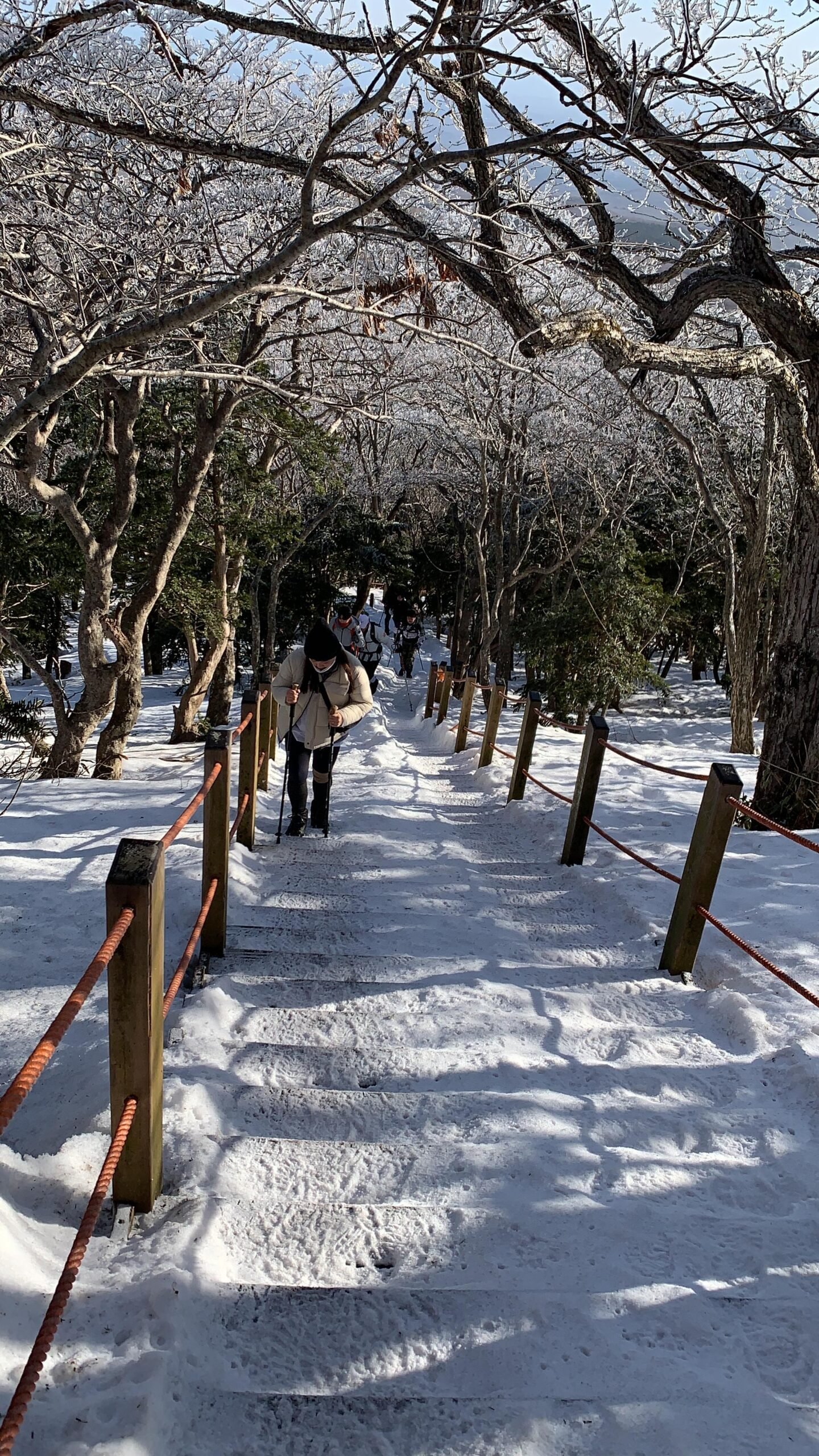 한라산 겨울 성판악코스 등반과 백록담 본 후기 등산 초보 - 18