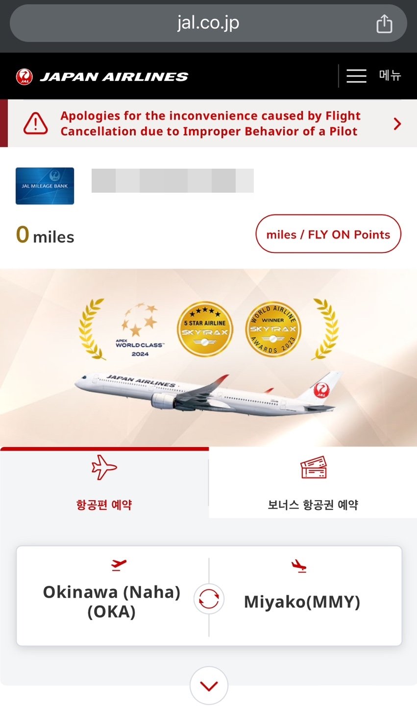 JAL 국내선 항공권 예약