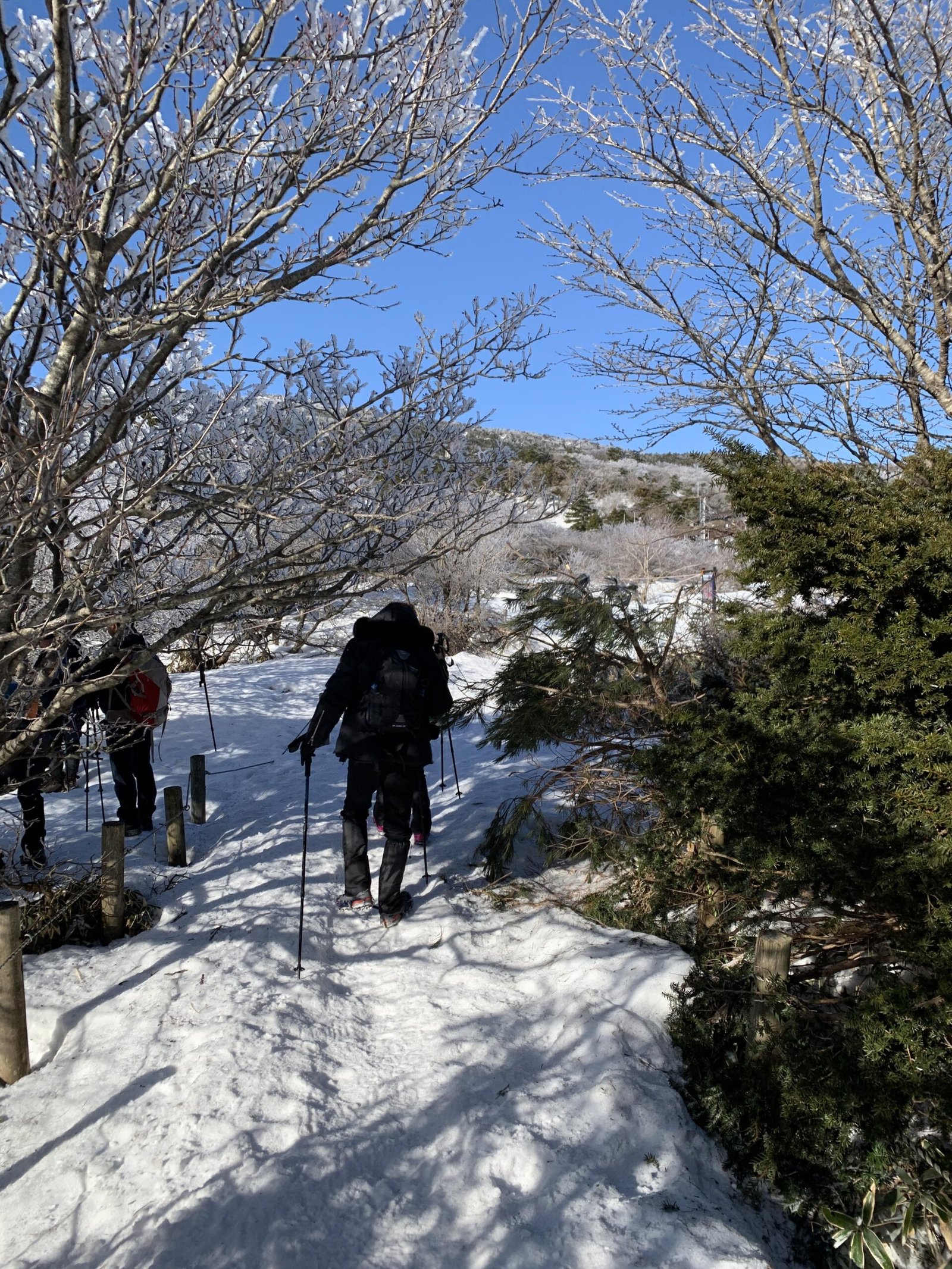 한라산 겨울 성판악코스 등반과 백록담 본 후기 등산 초보 - 19