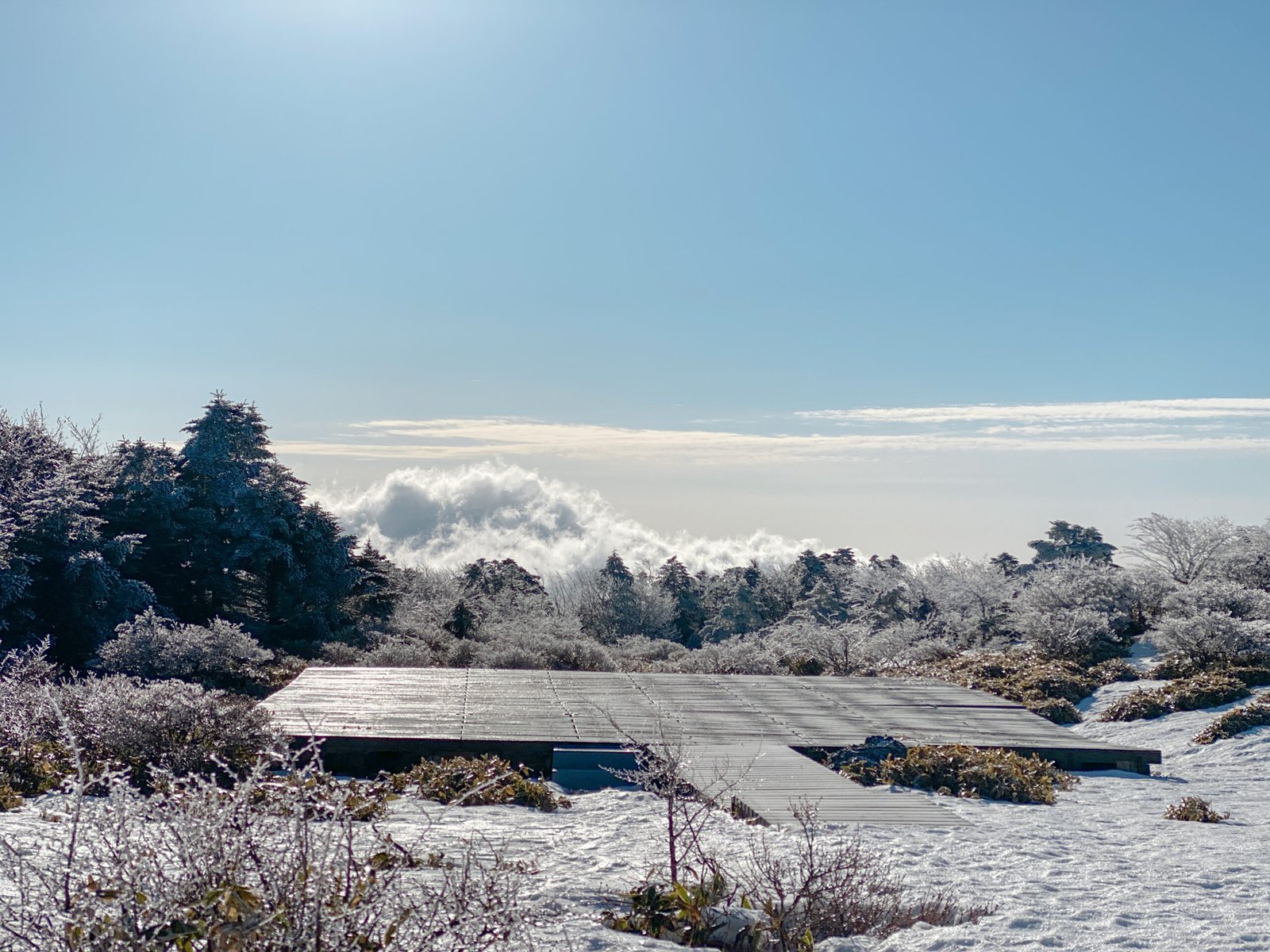 한라산 겨울 성판악코스 등반과 백록담 본 후기 등산 초보 - 22
