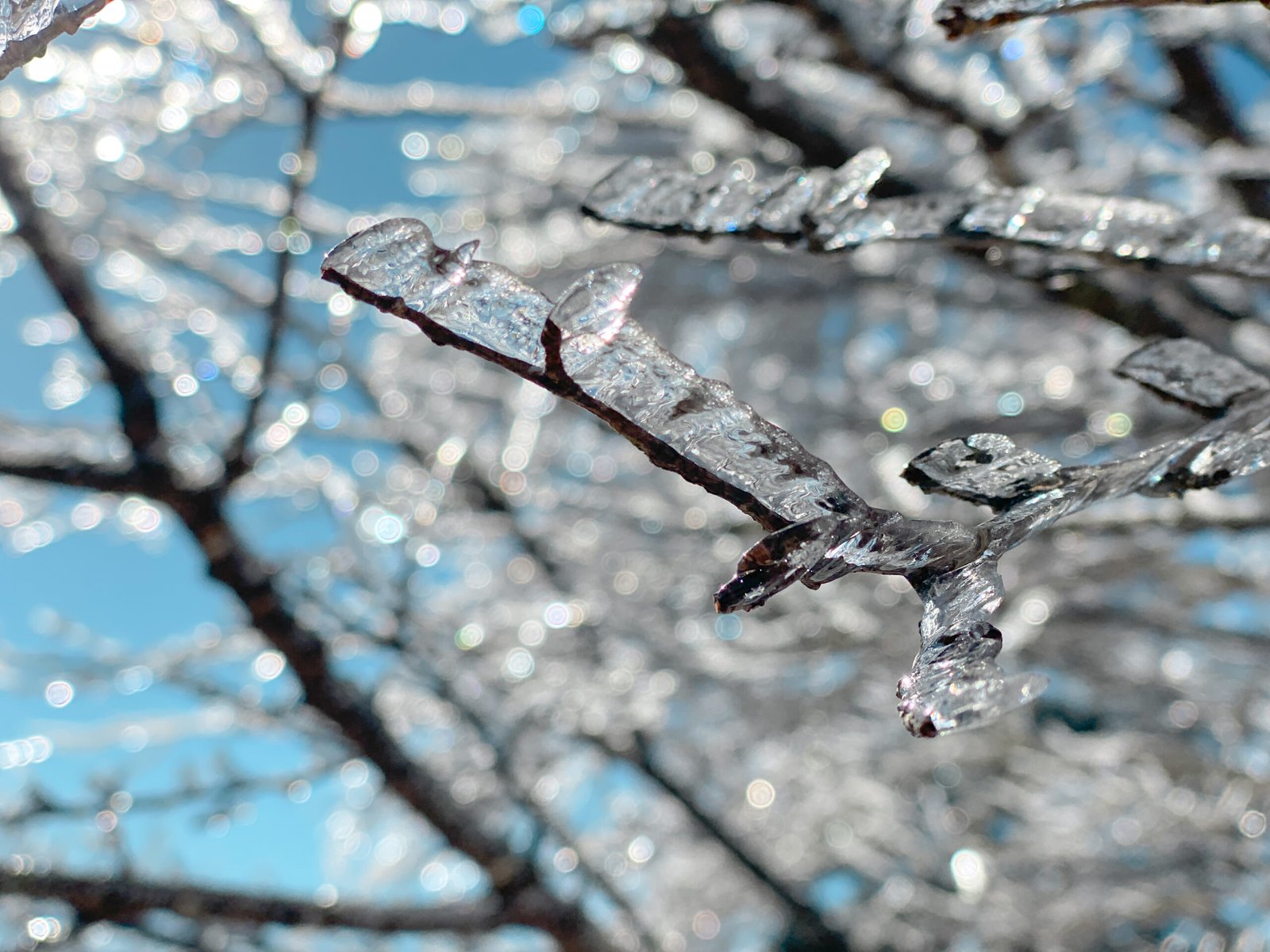 한라산 겨울 성판악코스 등반과 백록담 본 후기 등산 초보 - 23
