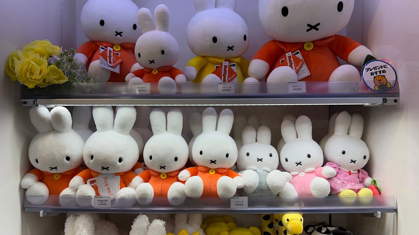 캐릭터 스트리트 도쿄역 쇼핑 스팟 추천 ┃ 위치 및 인기 매장 방문 후기 - 12