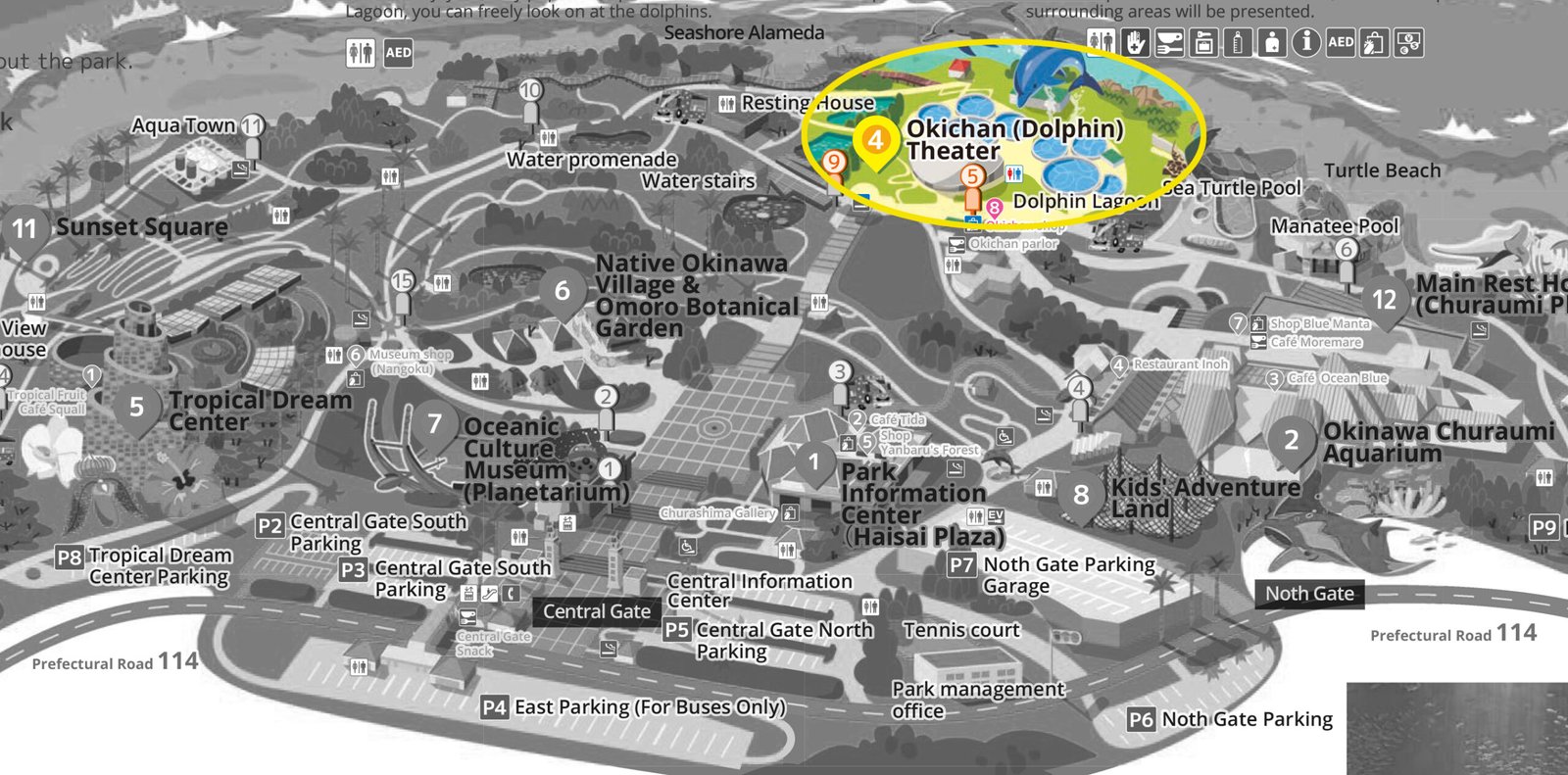 오키나와 오키짱쇼 츄라우미수족관 돌고래쇼 오키나와 오키짱쇼 츄라우미수족관 돌고래쇼 위치